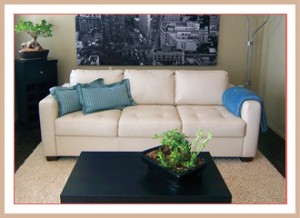 After Staged Living Room Calgary