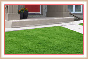 Luscious Lawn Luscious Lawn